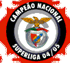 A Bandeira dos NN